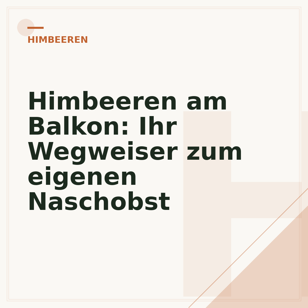 Himbeeren am Balkon: Ihr Wegweiser zum eigenen Naschobst