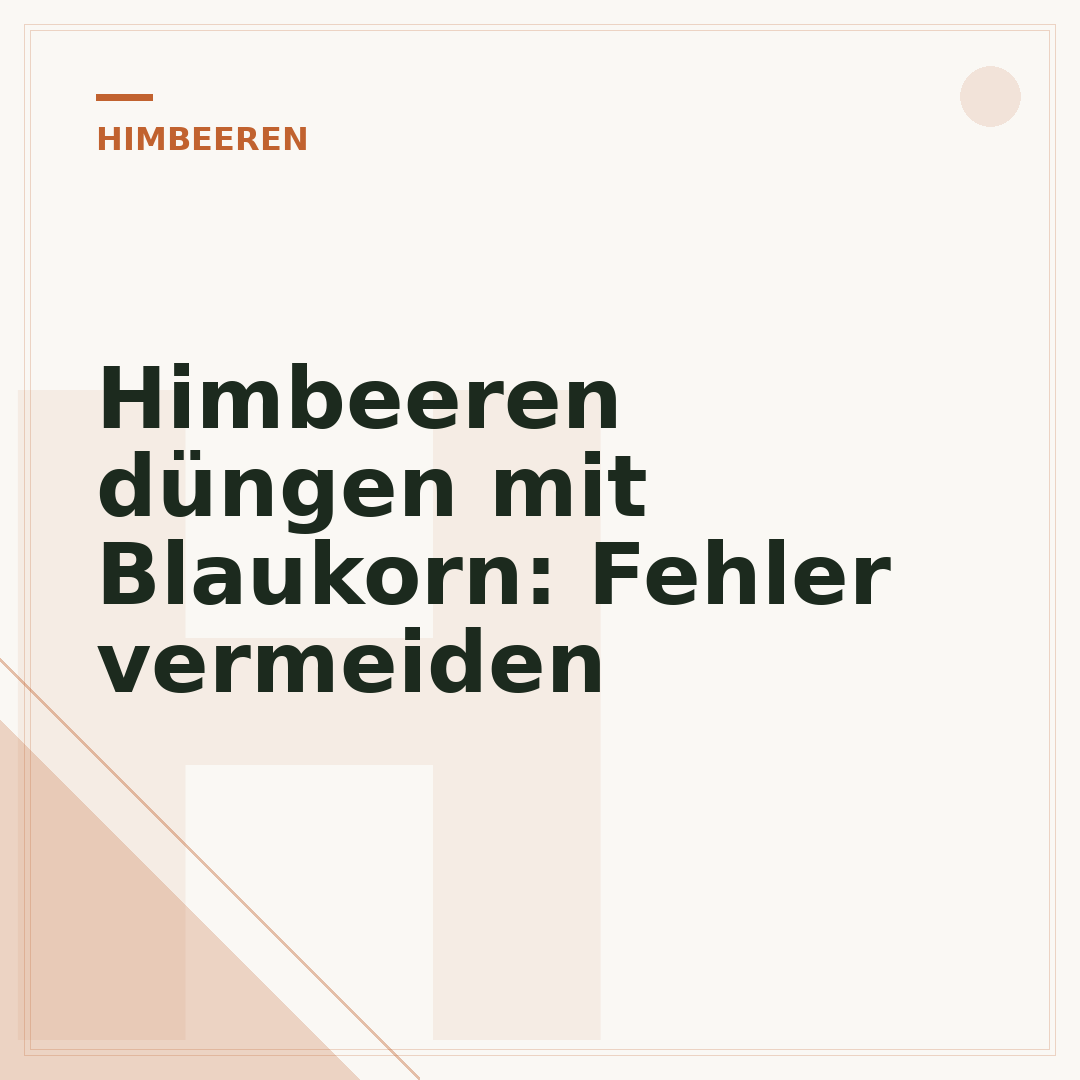 Himbeeren düngen mit Blaukorn: Fehler vermeiden