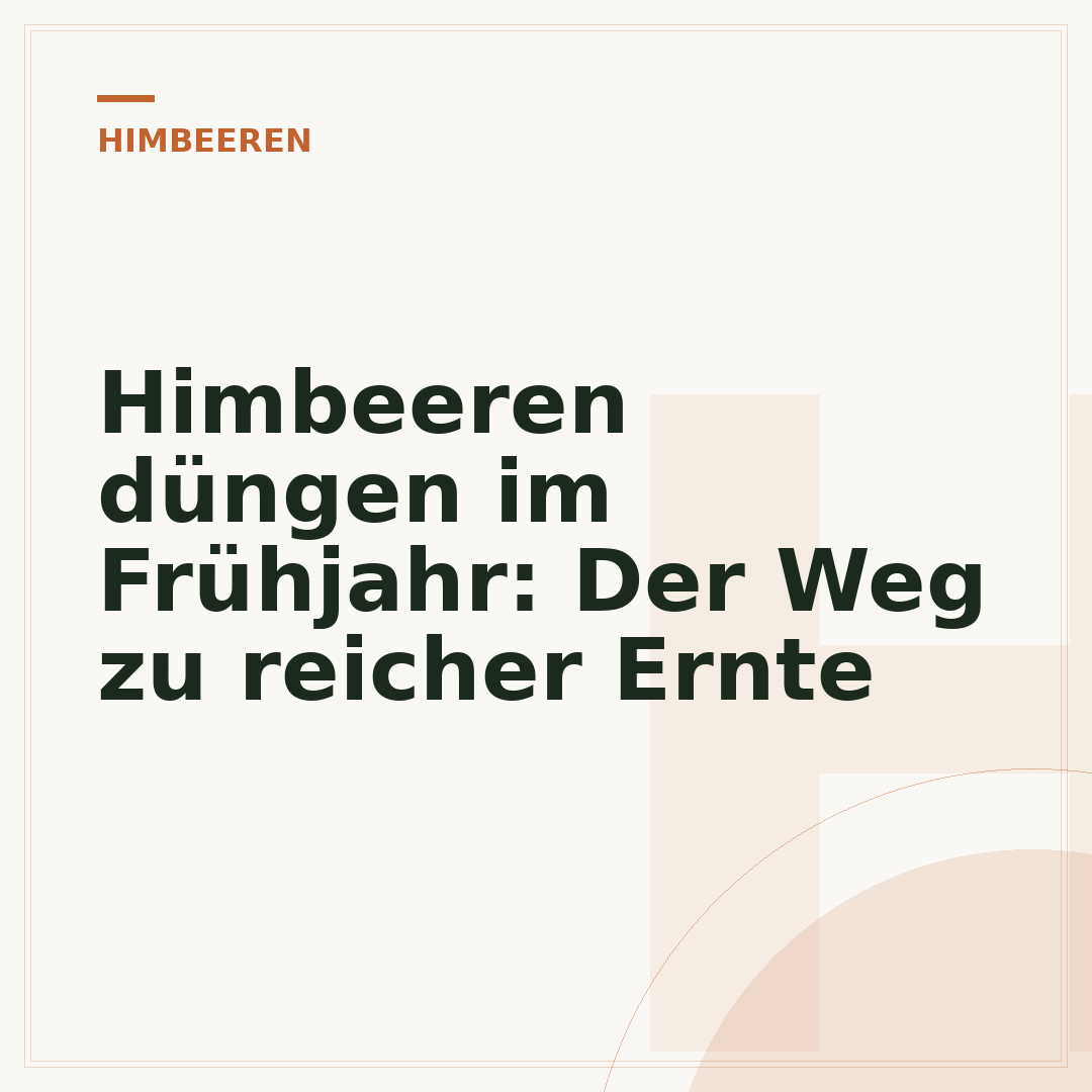 Himbeeren düngen im Frühjahr: Der Weg zu reicher Ernte