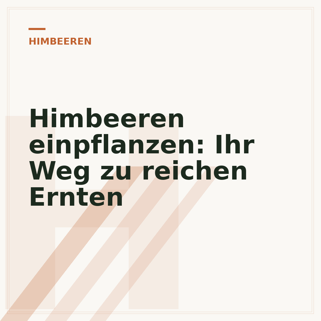 Himbeeren einpflanzen: Ihr Weg zu reichen Ernten