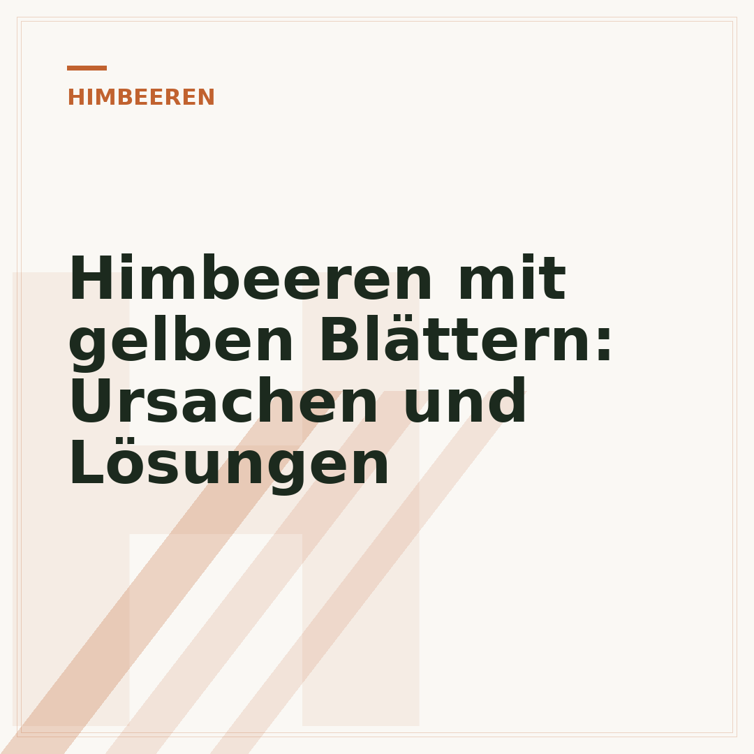 Himbeeren mit gelben Blättern: Ursachen und Lösungen