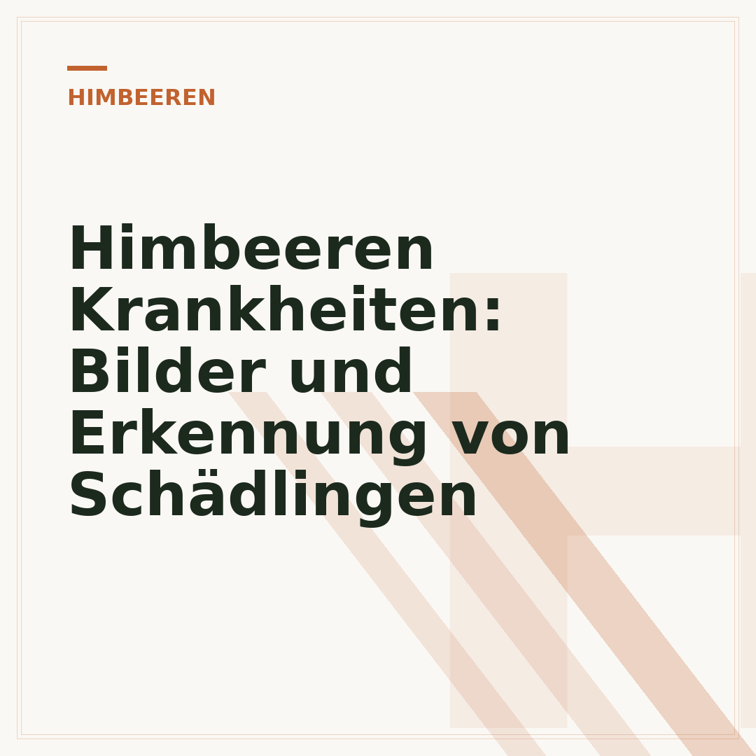 Himbeeren Krankheiten: Bilder und Erkennung von Schädlingen
