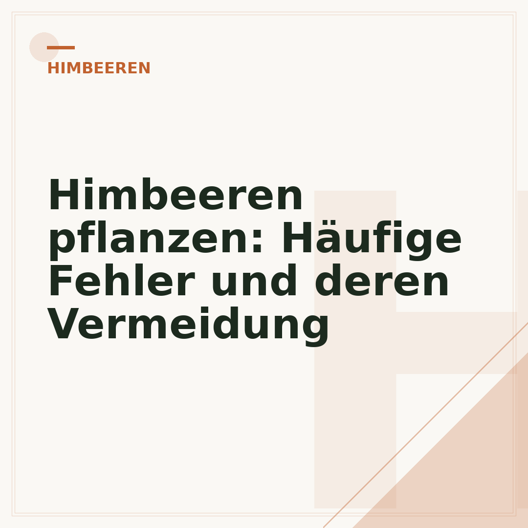 Himbeeren pflanzen: Häufige Fehler und deren Vermeidung