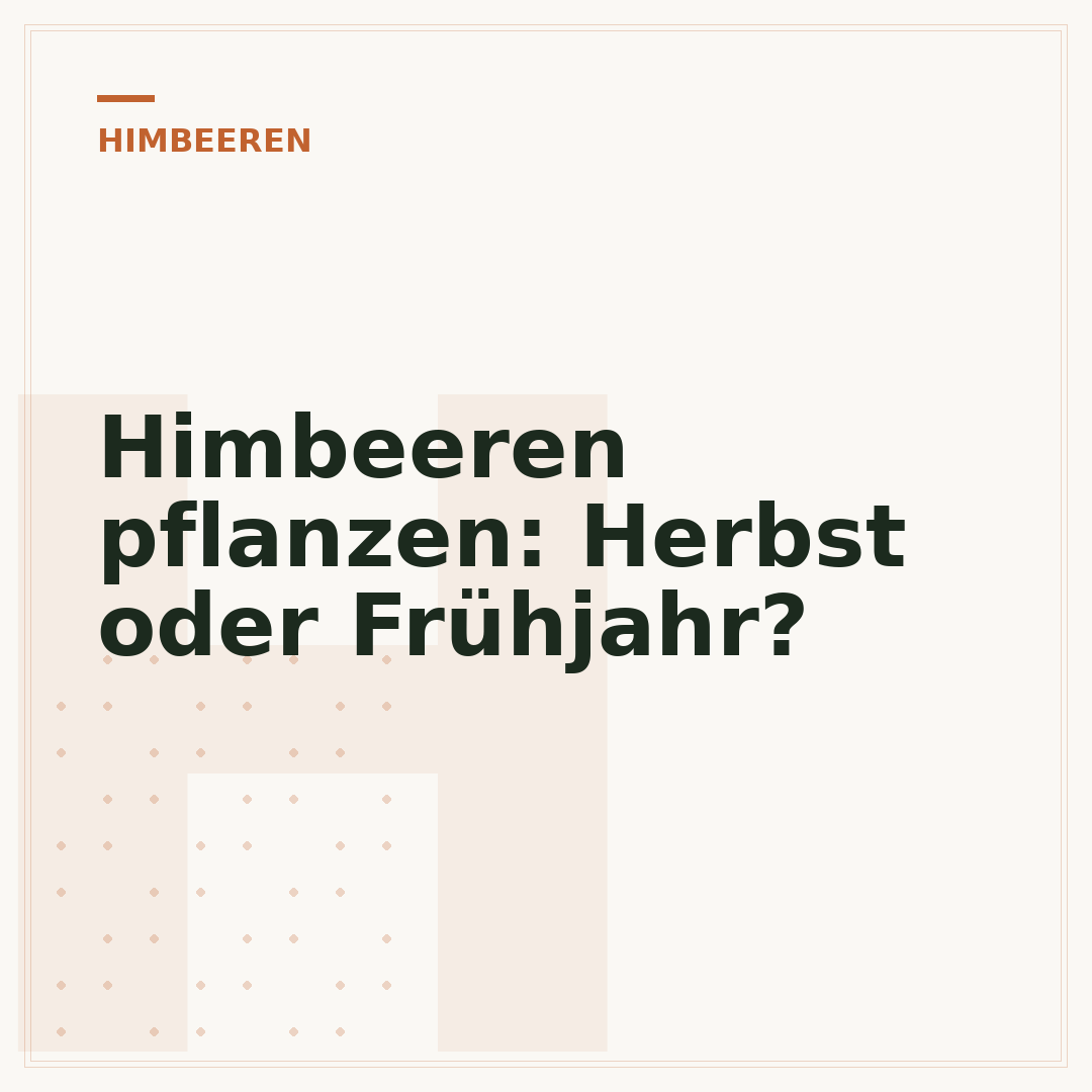 Himbeeren pflanzen: Herbst oder Frühjahr?