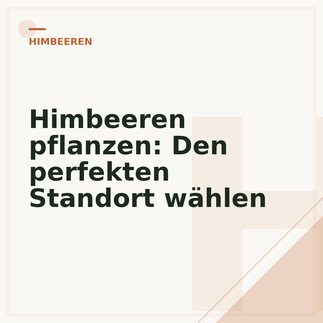 Himbeeren pflanzen: Den perfekten Standort wählen