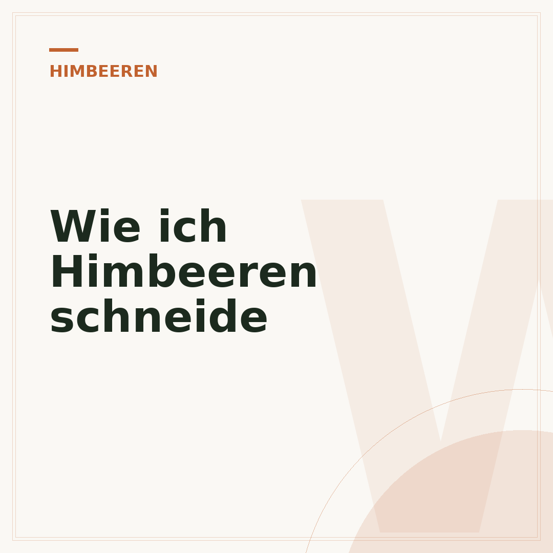 Wie ich Himbeeren schneide