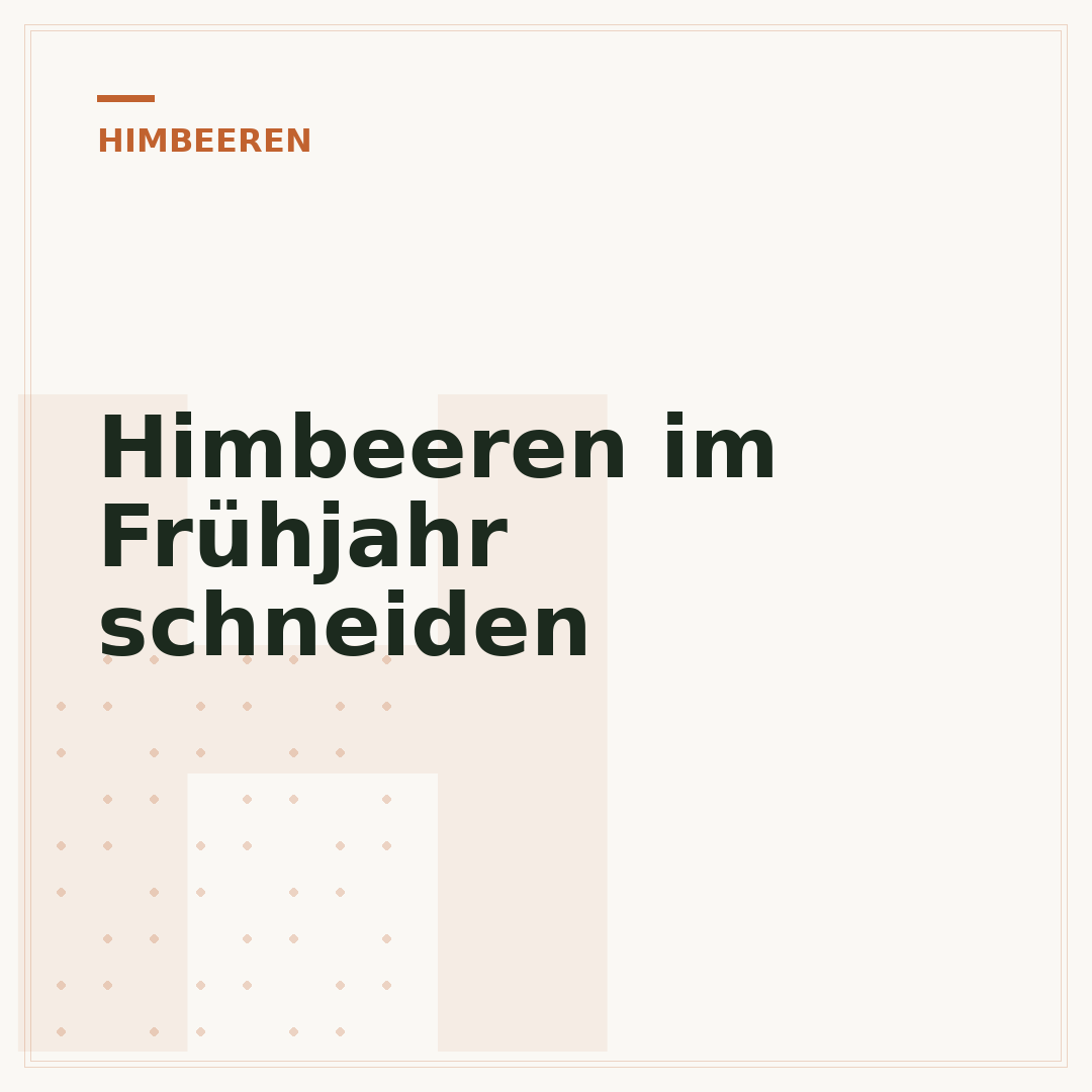 Himbeeren im Frühjahr schneiden