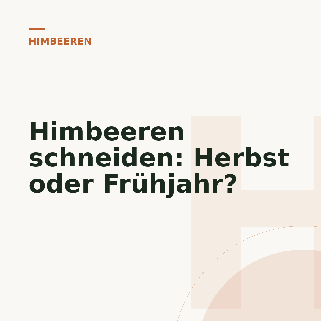 Himbeeren schneiden: Herbst oder Frühjahr?