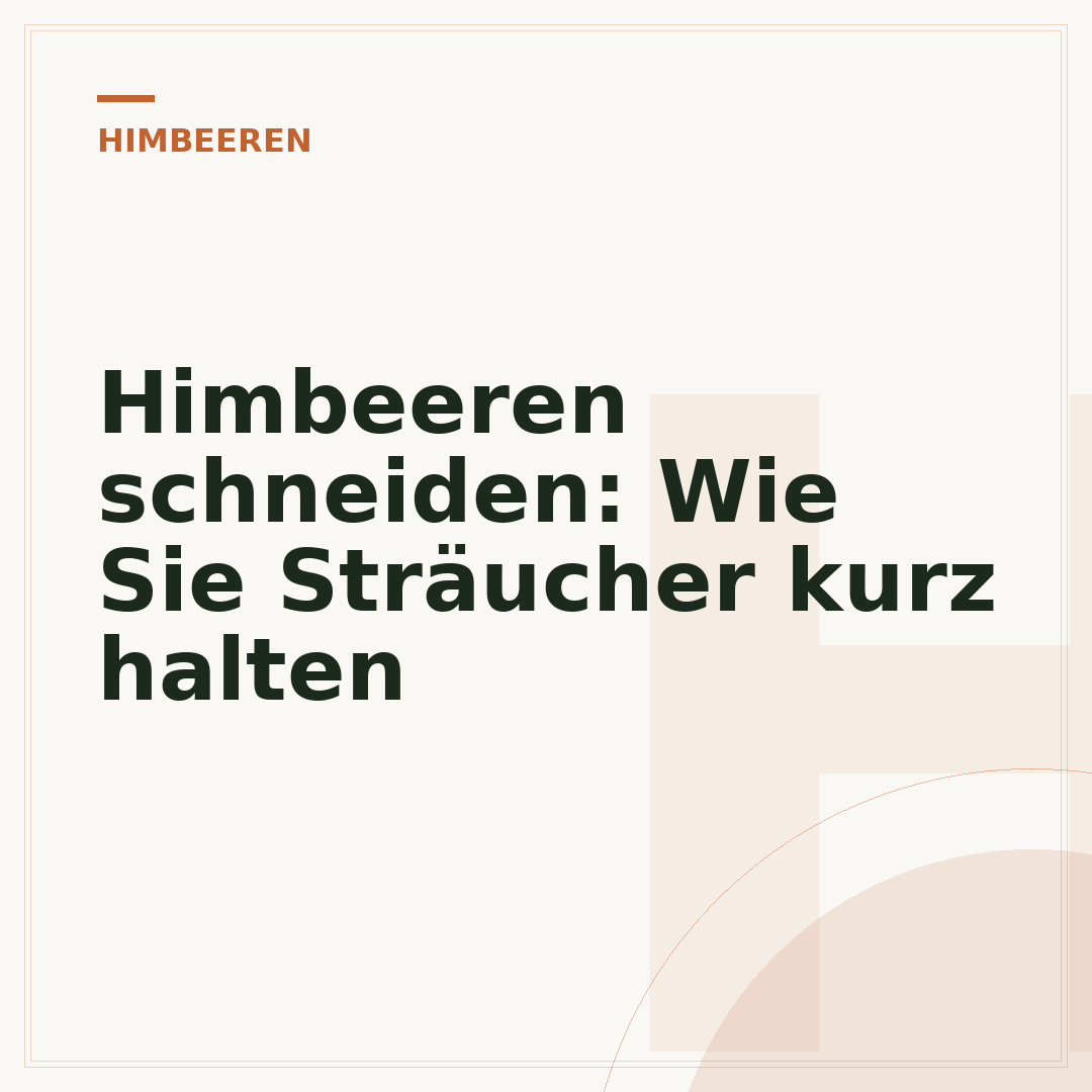 Himbeeren schneiden: Wie Sie Sträucher kurz halten