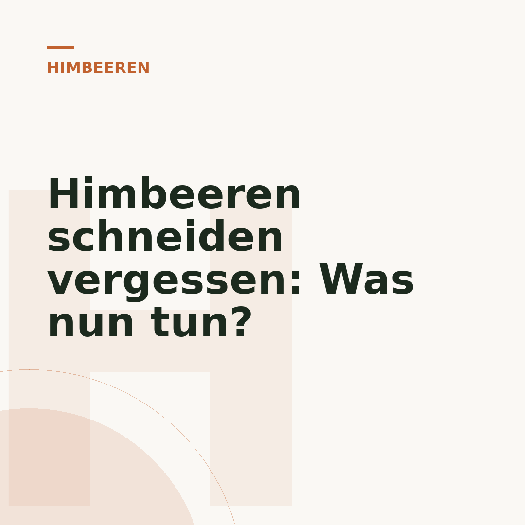 Himbeeren schneiden vergessen: Was nun tun?