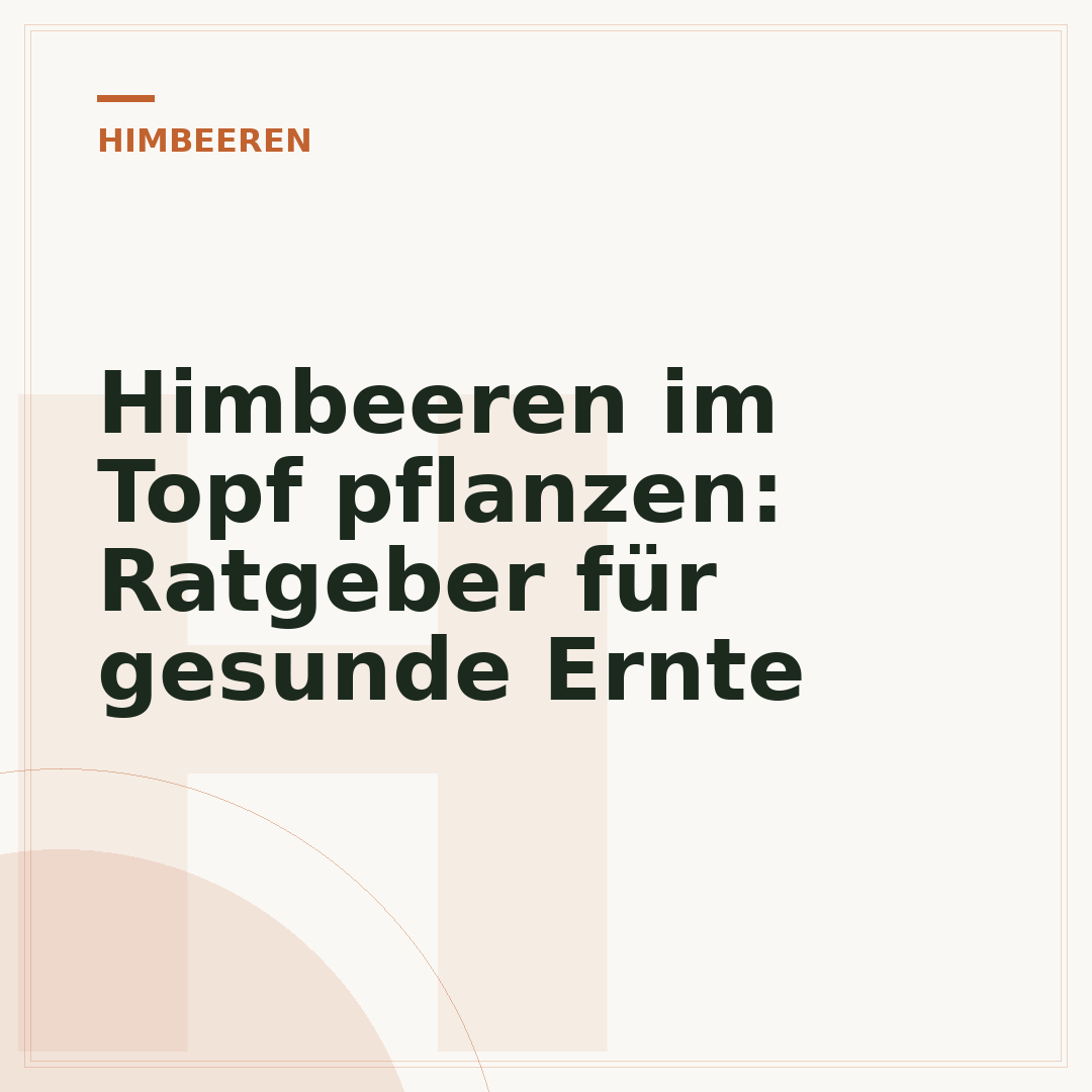 Himbeeren im Topf pflanzen: Ratgeber für gesunde Ernte