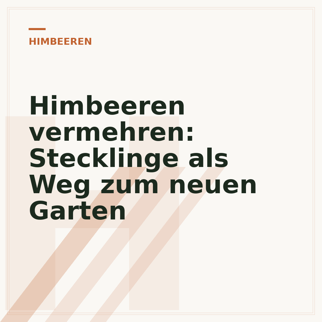 Himbeeren vermehren: Stecklinge als Weg zum neuen Garten