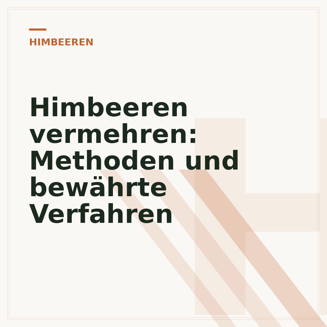 Himbeeren vermehren: Methoden und bewährte Verfahren