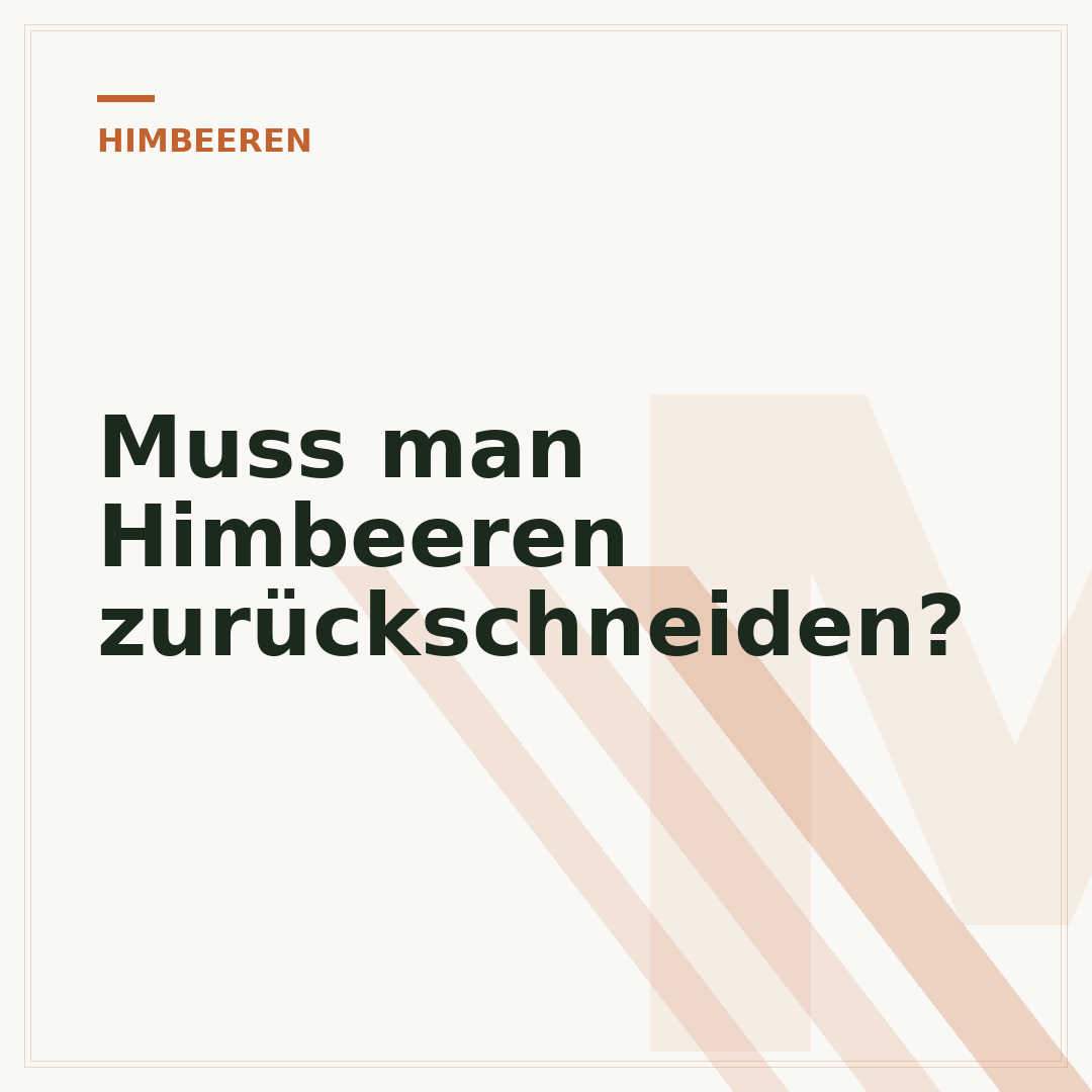Muss man Himbeeren zurückschneiden?