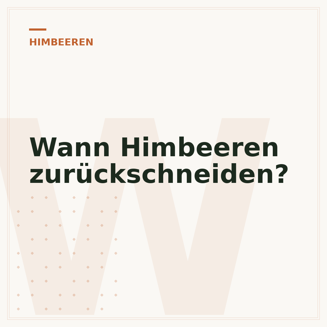 Wann Himbeeren zurückschneiden?