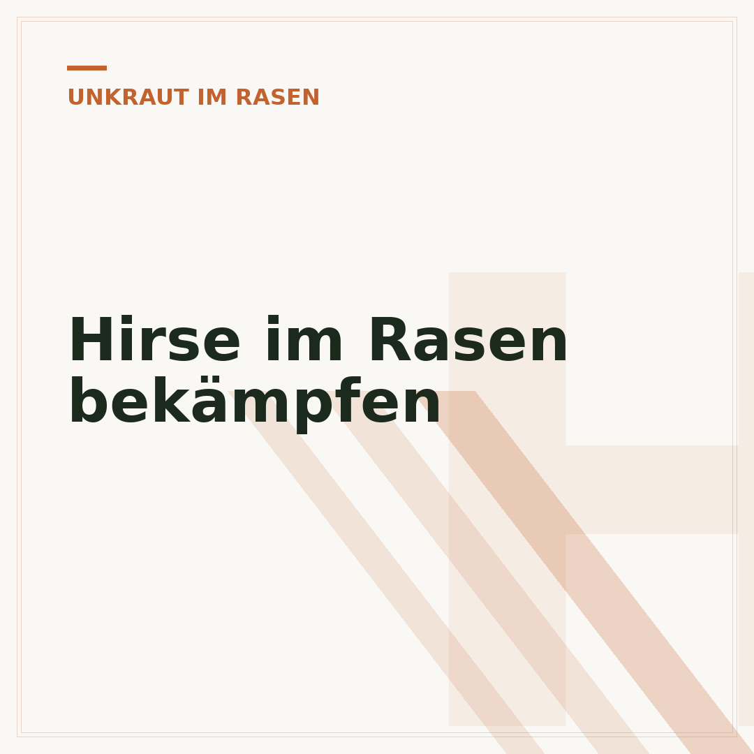 Hirse im Rasen bekämpfen