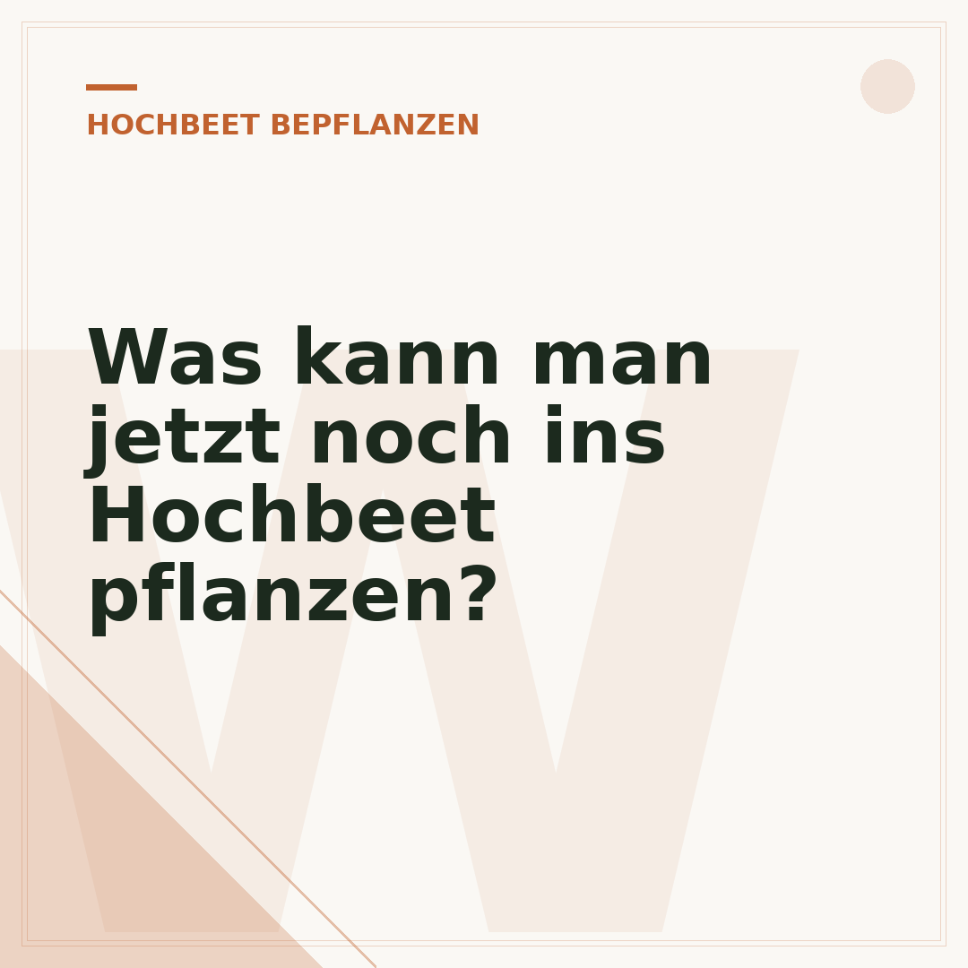 Was kann man jetzt noch ins Hochbeet pflanzen?