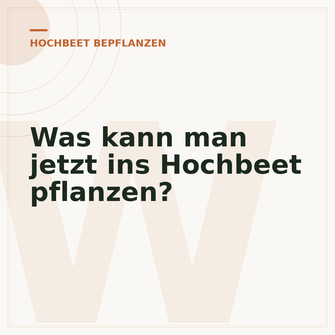 Was kann man jetzt ins Hochbeet pflanzen?