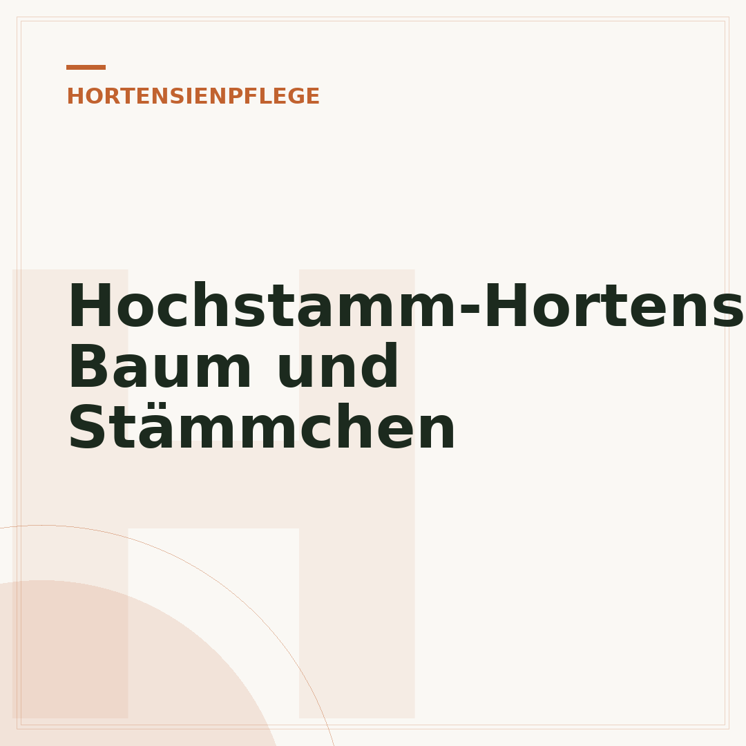 Hochstamm-Hortensie: Baum und Stämmchen