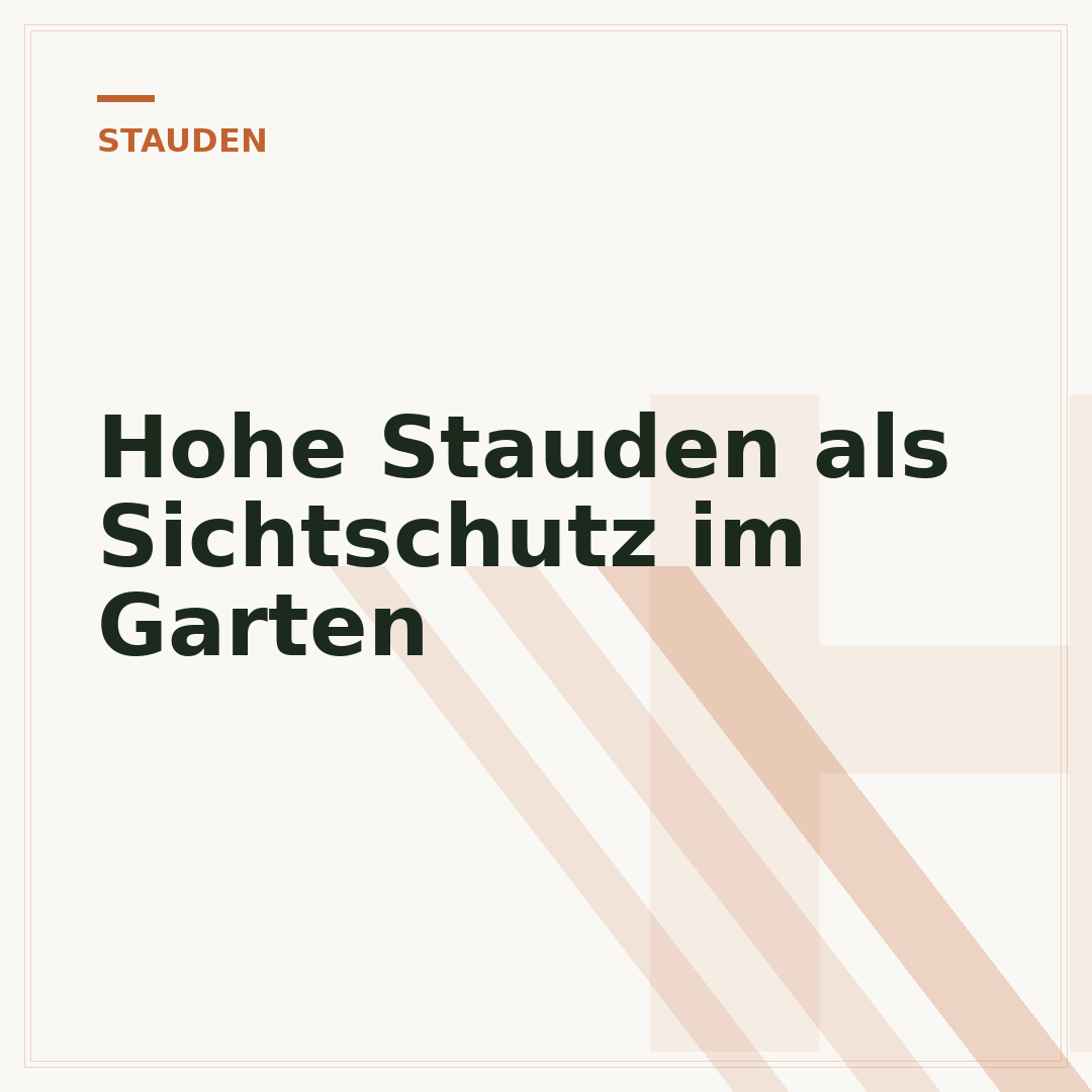 Hohe Stauden als Sichtschutz im Garten