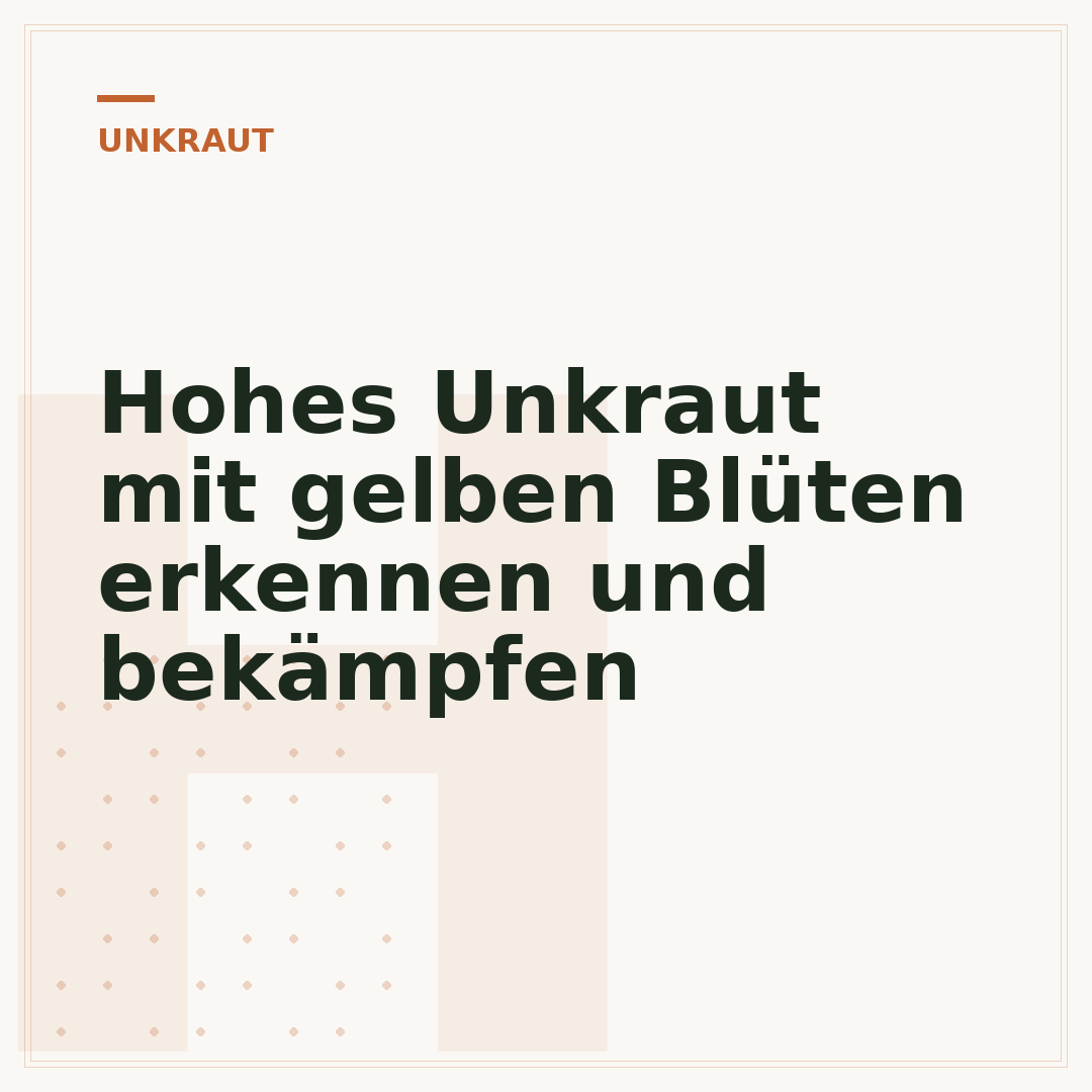 Hohes Unkraut mit gelben Blüten erkennen und bekämpfen