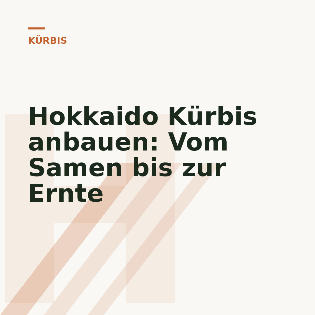 Hokkaido Kürbis anbauen: Vom Samen bis zur Ernte