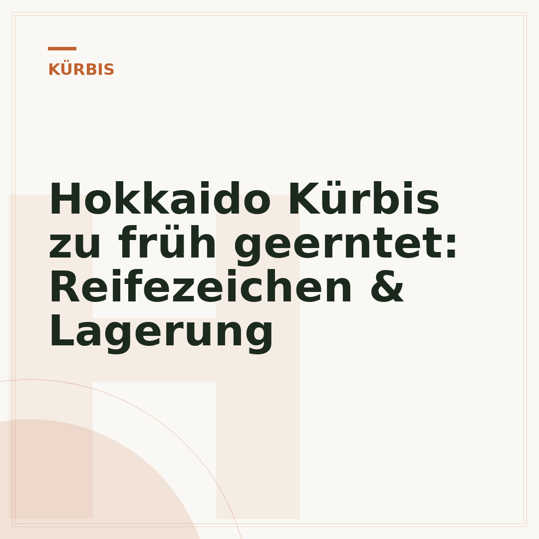Hokkaido Kürbis zu früh geerntet: Reifezeichen & Lagerung