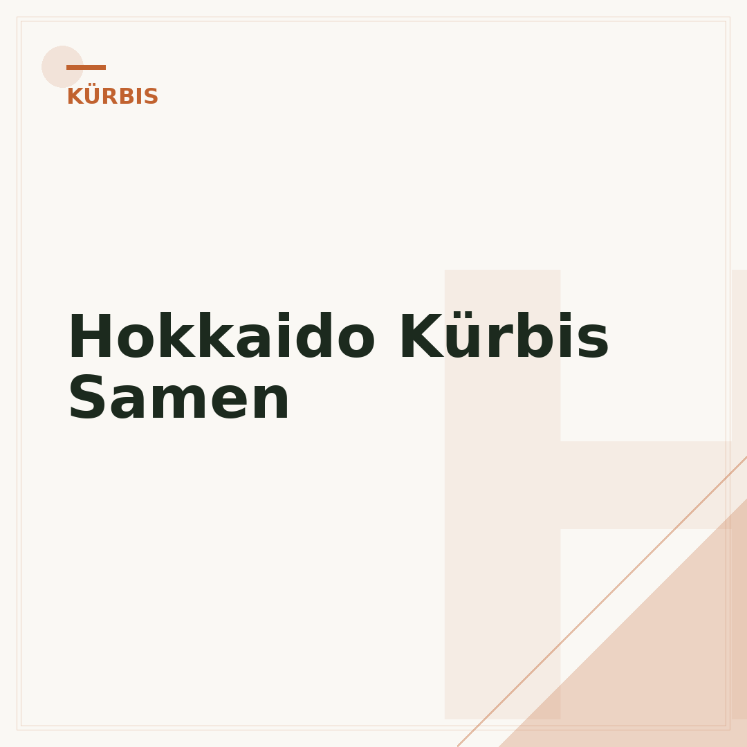 Hokkaido Kürbis Samen