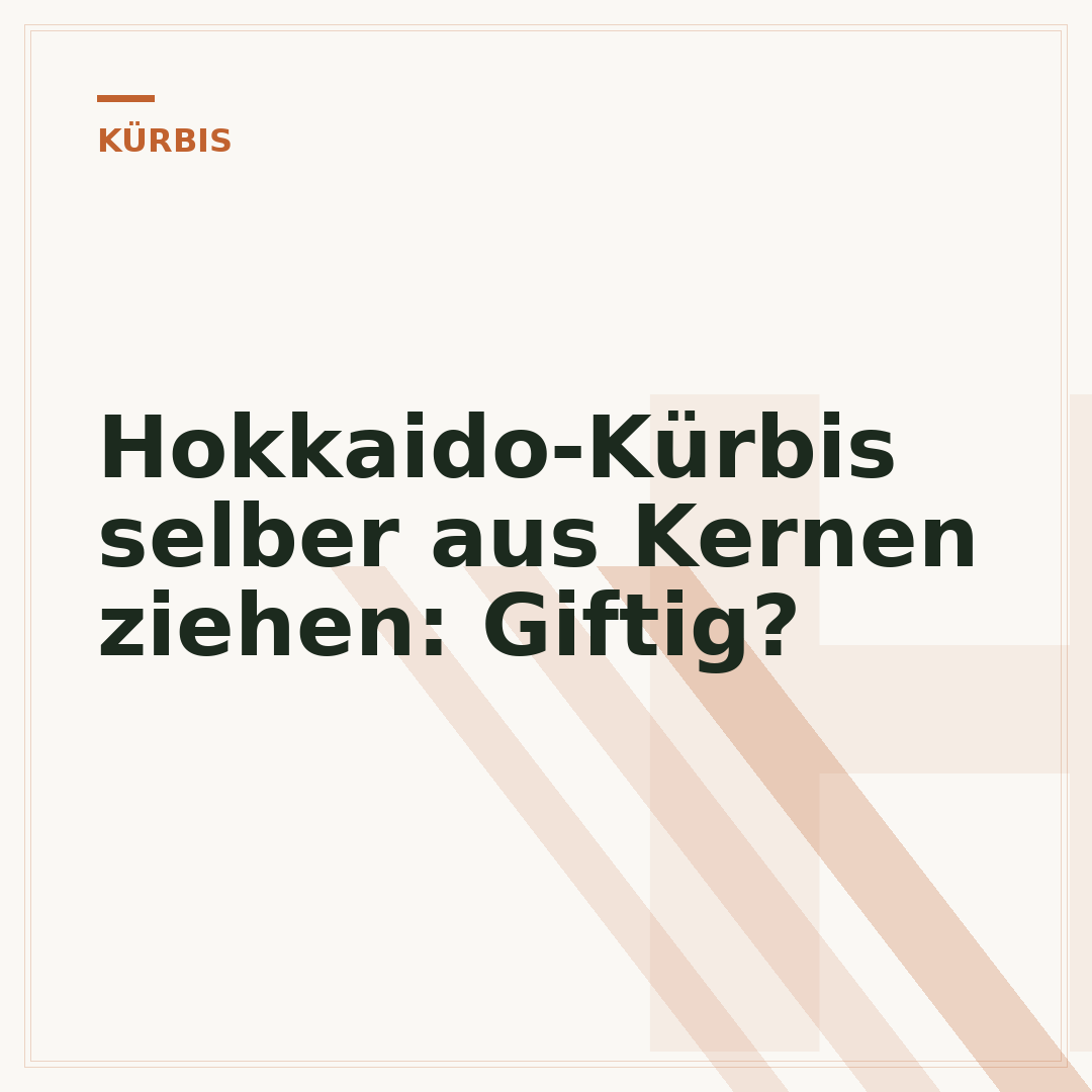 Hokkaido-Kürbis selber aus Kernen ziehen: Giftig?