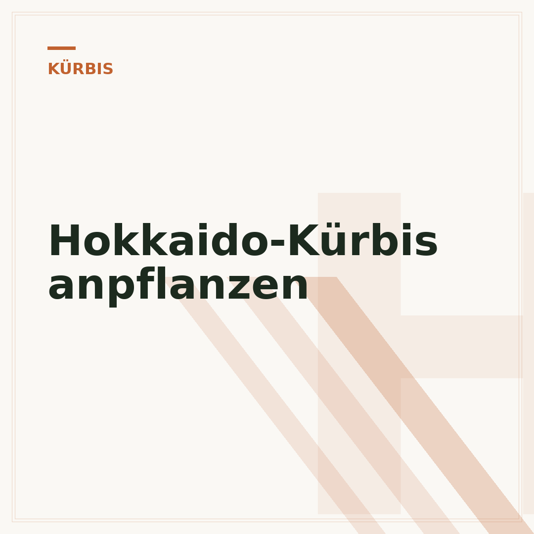 Hokkaido-Kürbis anpflanzen
