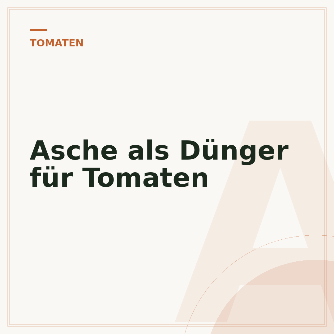 Asche als Dünger für Tomaten