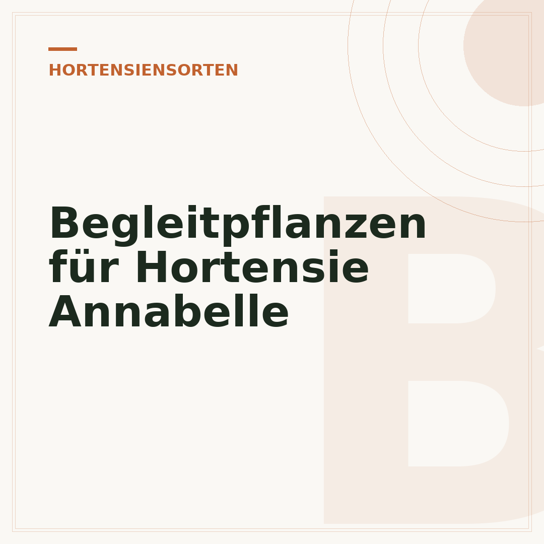 Begleitpflanzen für Hortensie Annabelle