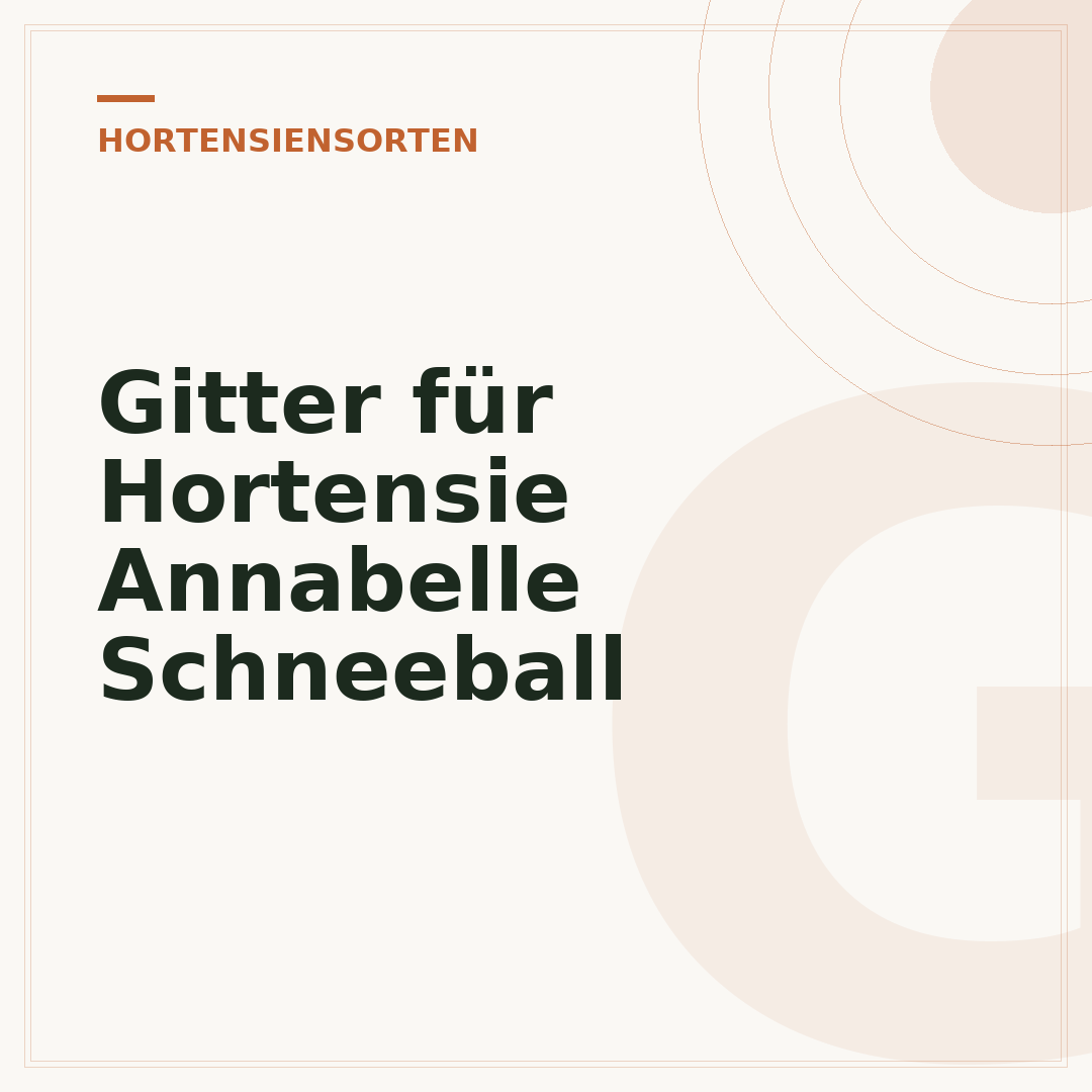 Gitter für Hortensie Annabelle Schneeball