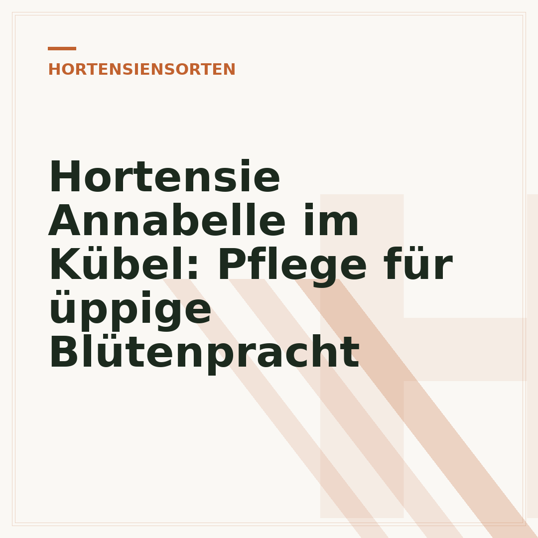 Hortensie Annabelle im Kübel: Pflege für üppige Blütenpracht