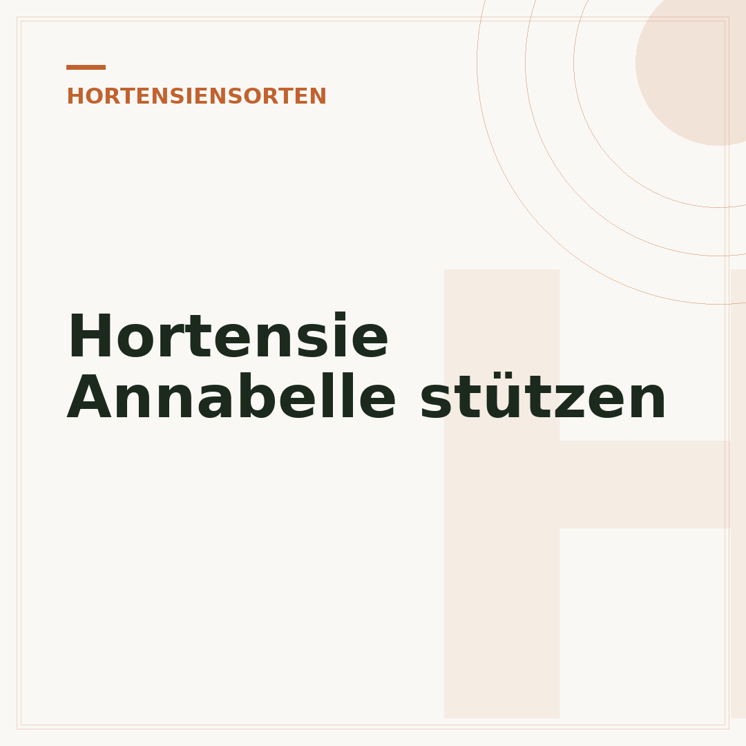 Hortensie Annabelle stützen
