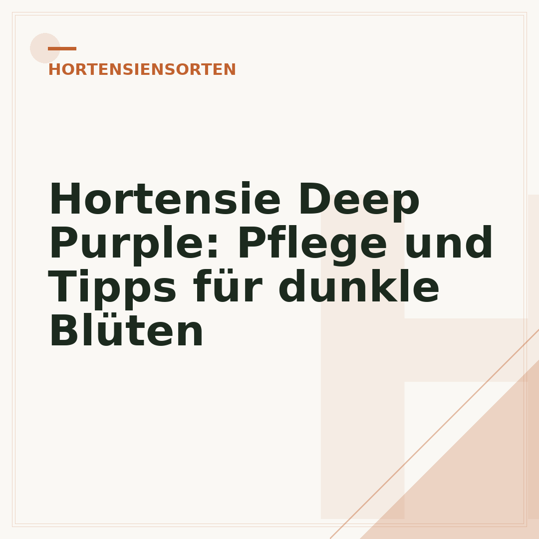 Hortensie Deep Purple: Pflege und Tipps für dunkle Blüten