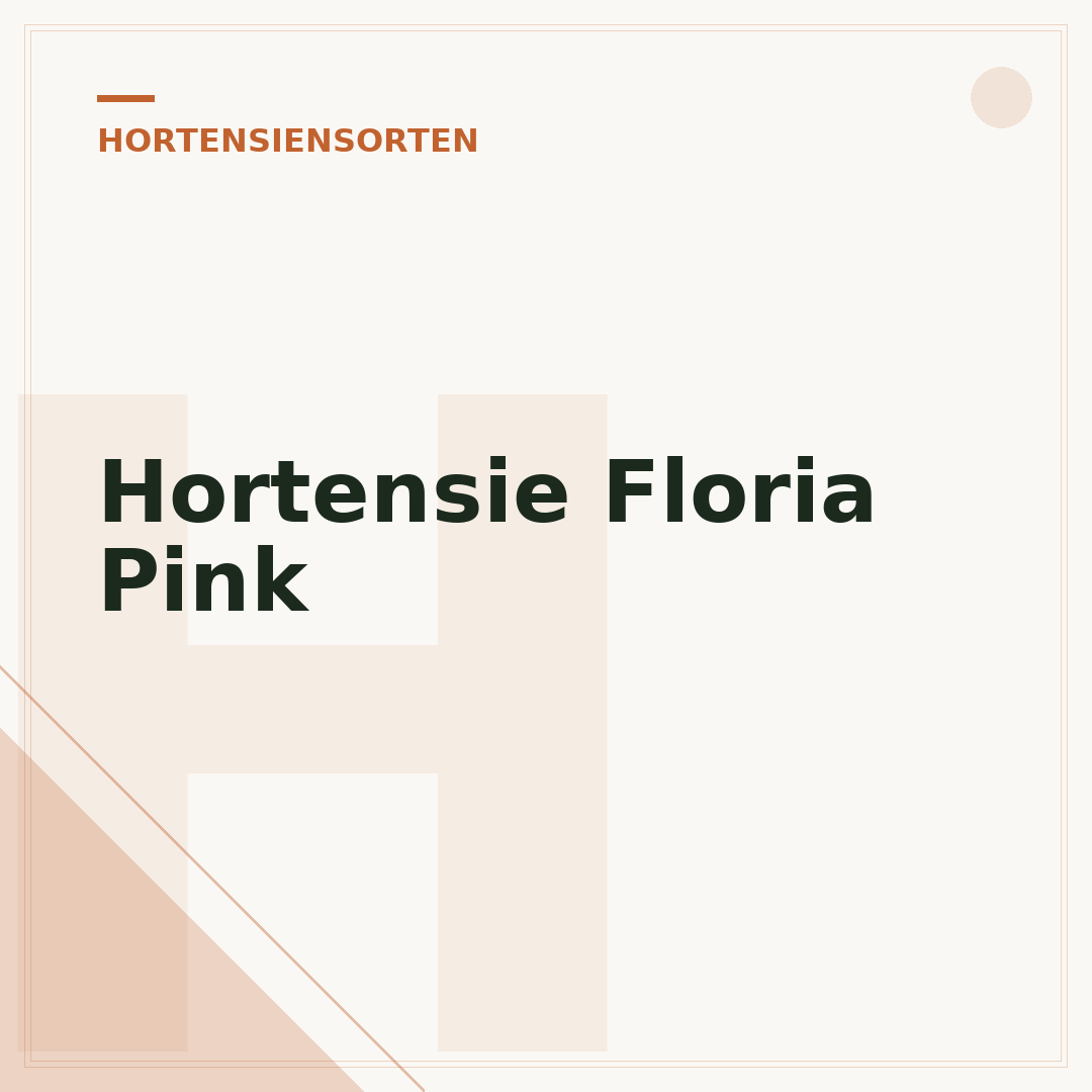 Hortensie Floria Pink