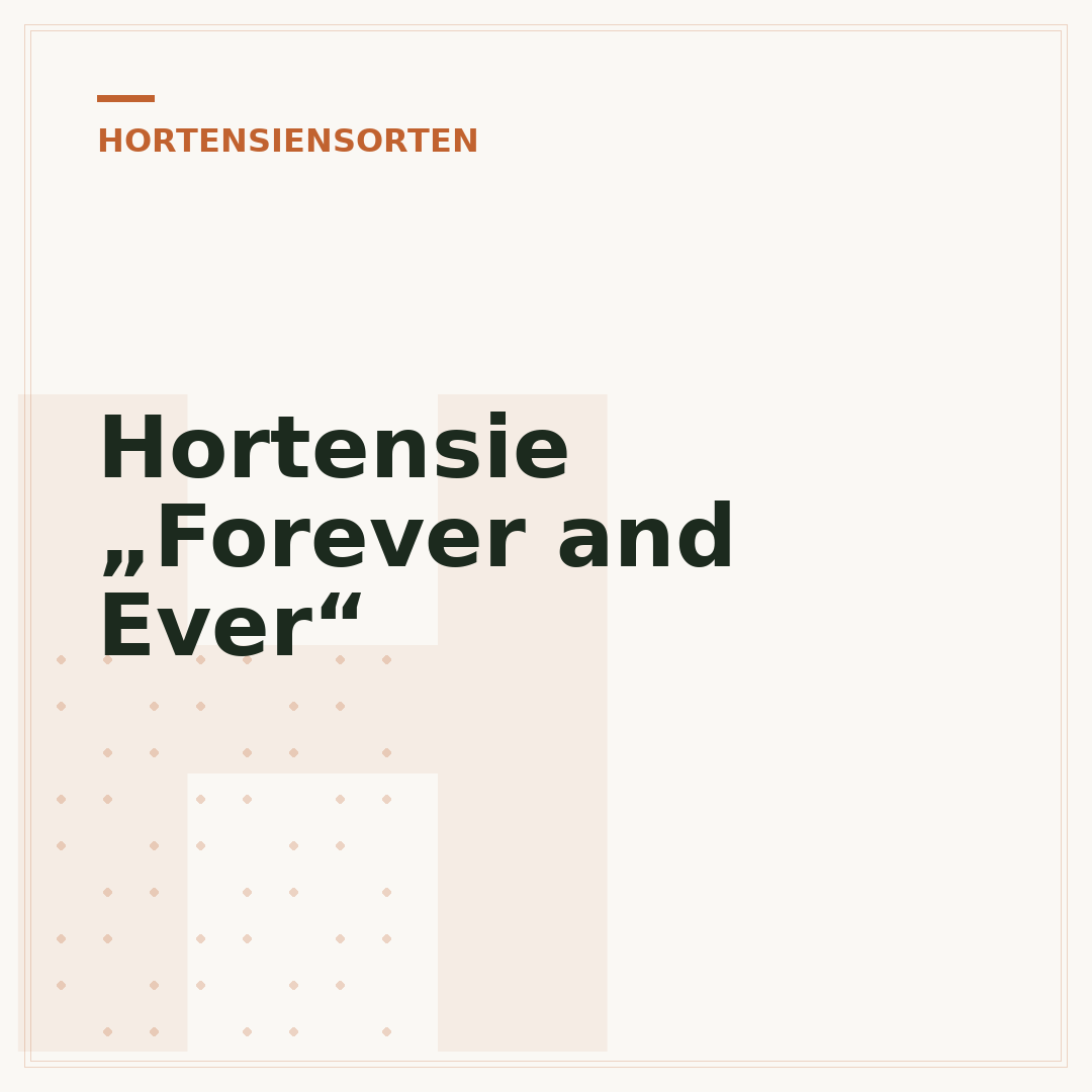 Hortensie „Forever and Ever“