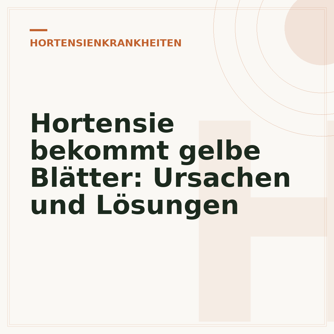 Hortensie bekommt gelbe Blätter: Ursachen und Lösungen