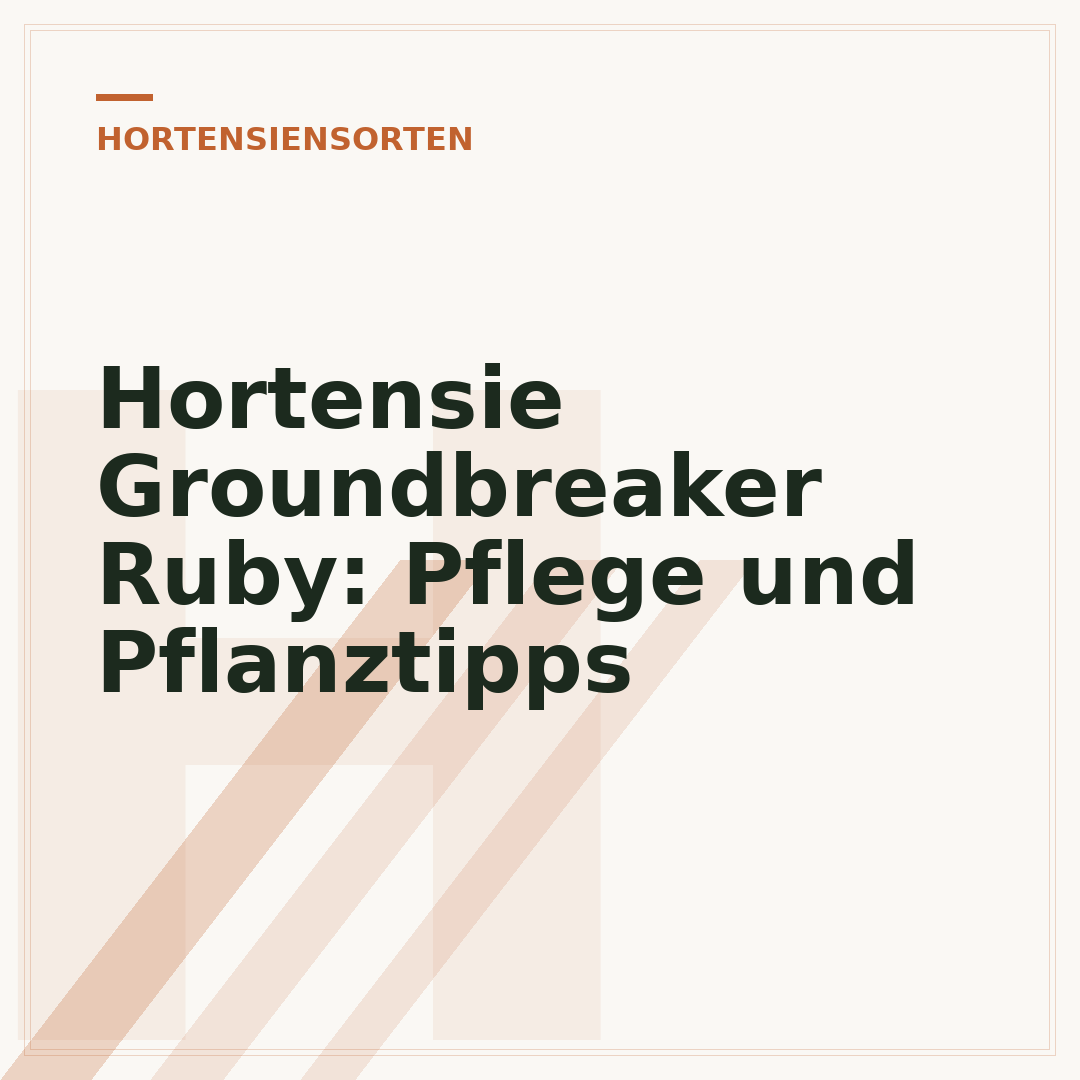 Hortensie Groundbreaker Ruby: Pflege und Pflanztipps