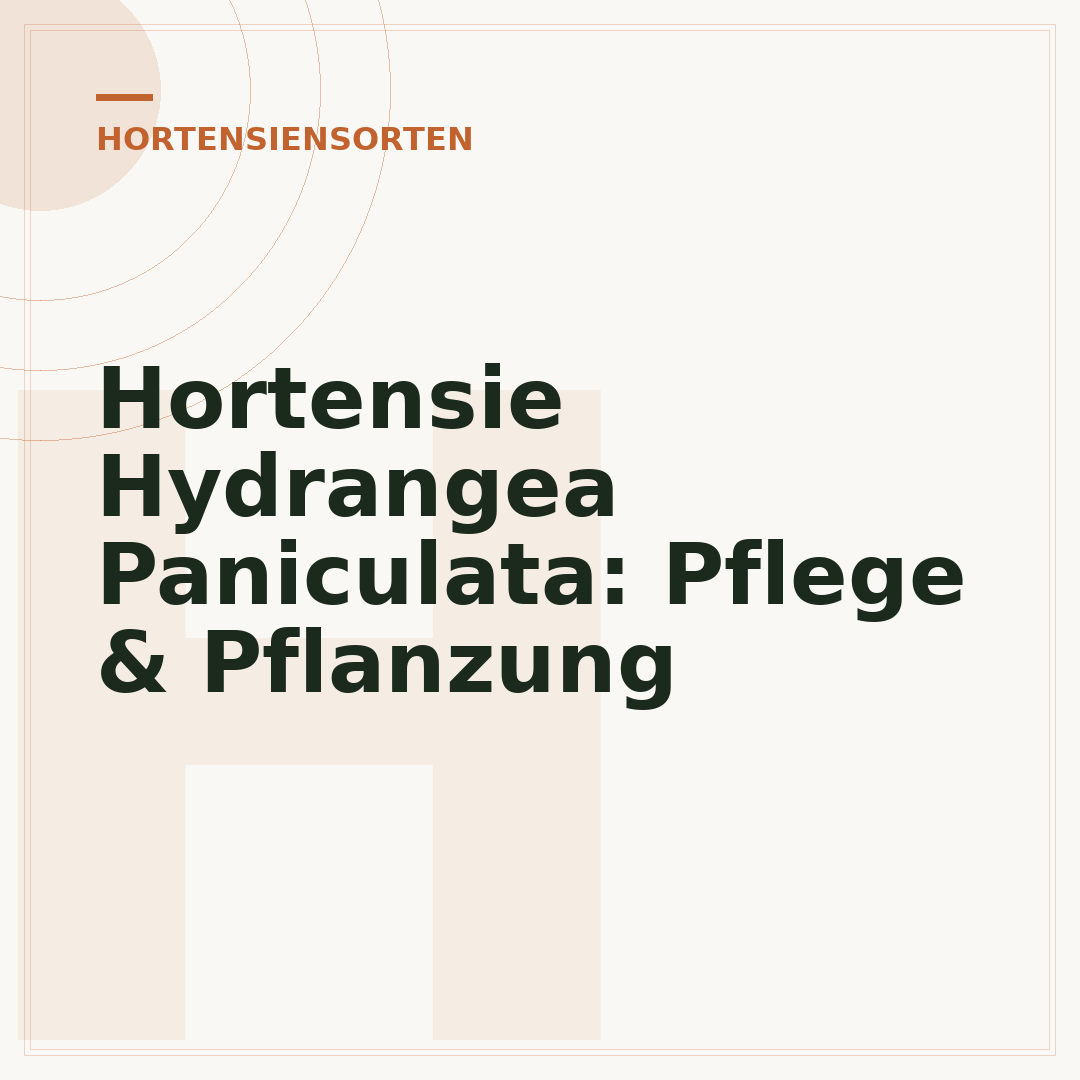 Hortensie Hydrangea Paniculata: Pflege & Pflanzung