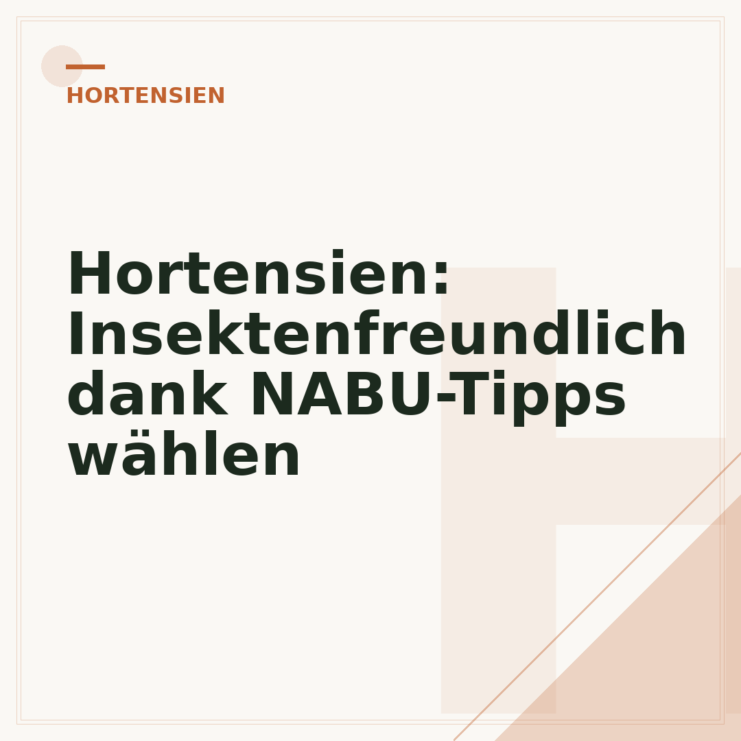 Hortensien: Insektenfreundlich dank NABU-Tipps wählen