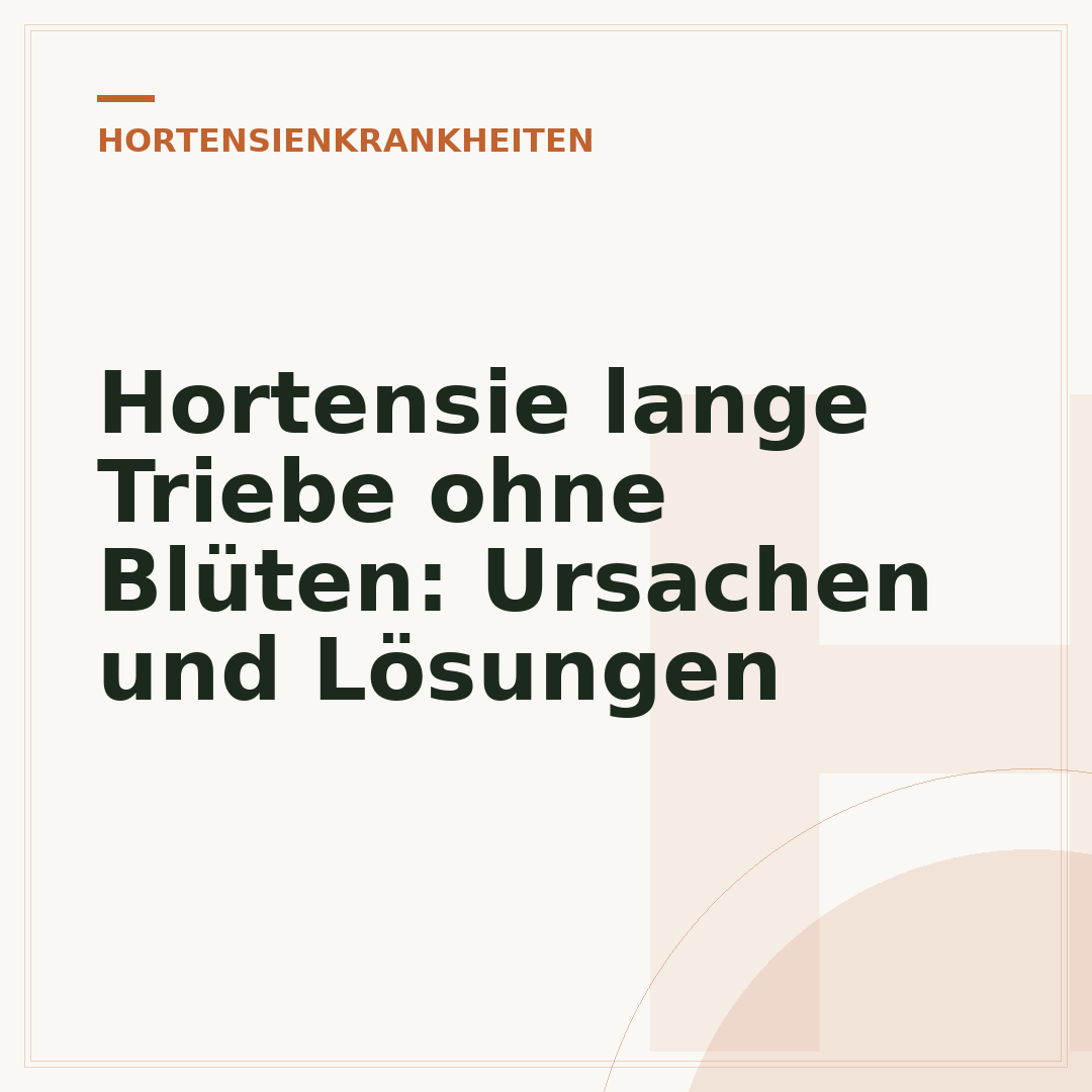 Hortensie lange Triebe ohne Blüten: Ursachen und Lösungen