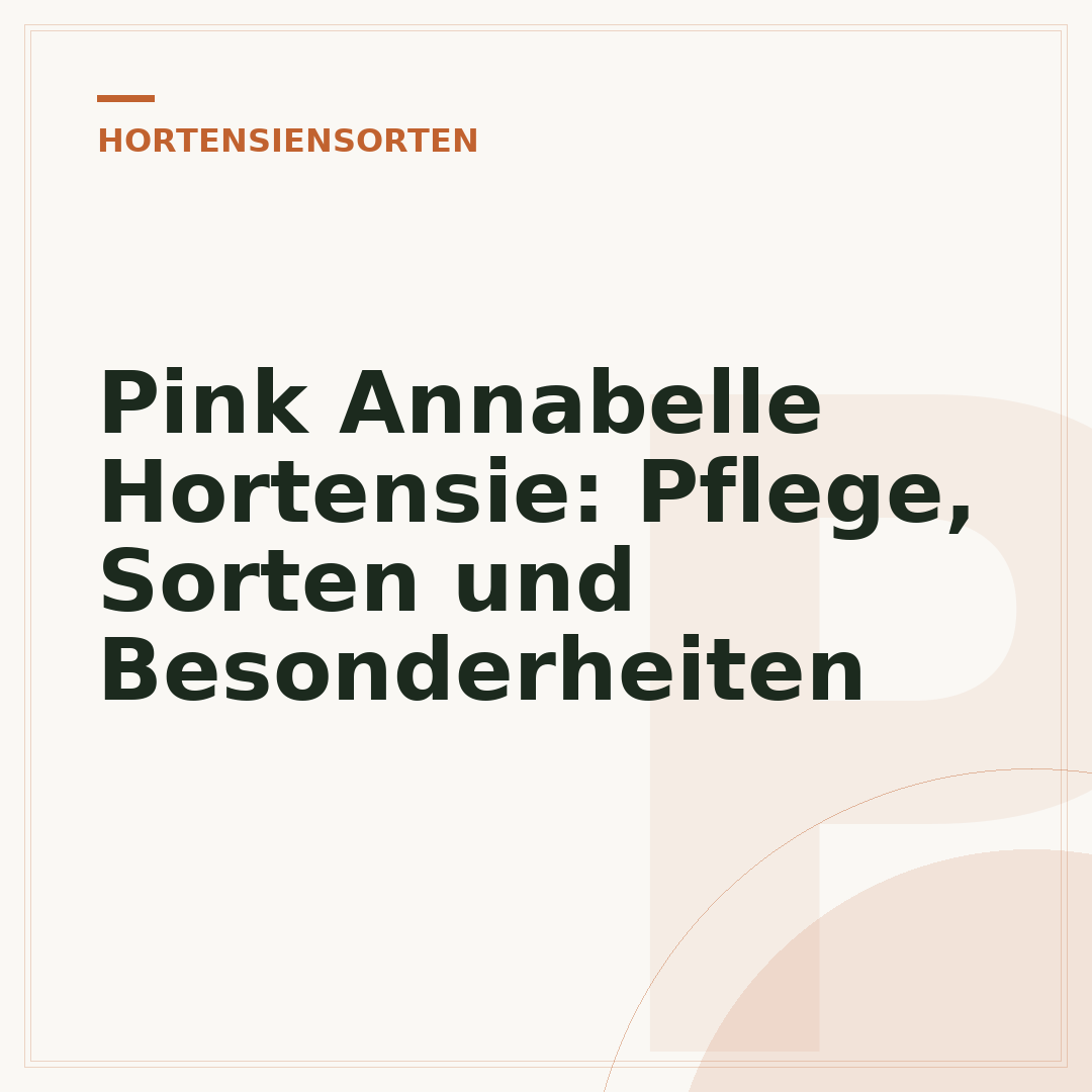 Pink Annabelle Hortensie: Pflege, Sorten und Besonderheiten