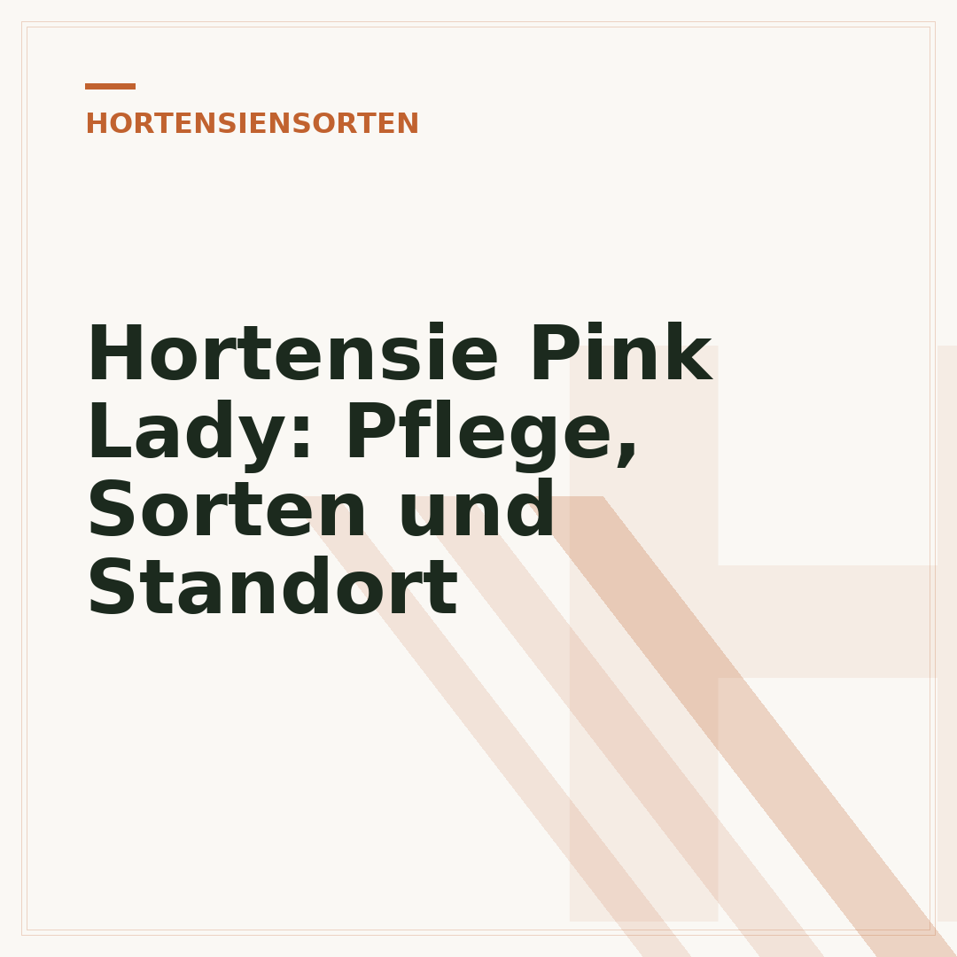 Hortensie Pink Lady: Pflege, Sorten und Standort