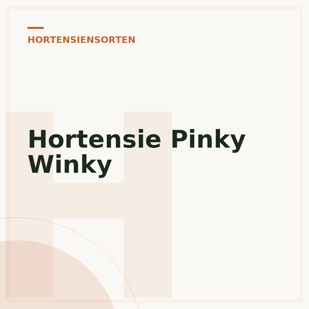Hortensie Pinky Winky