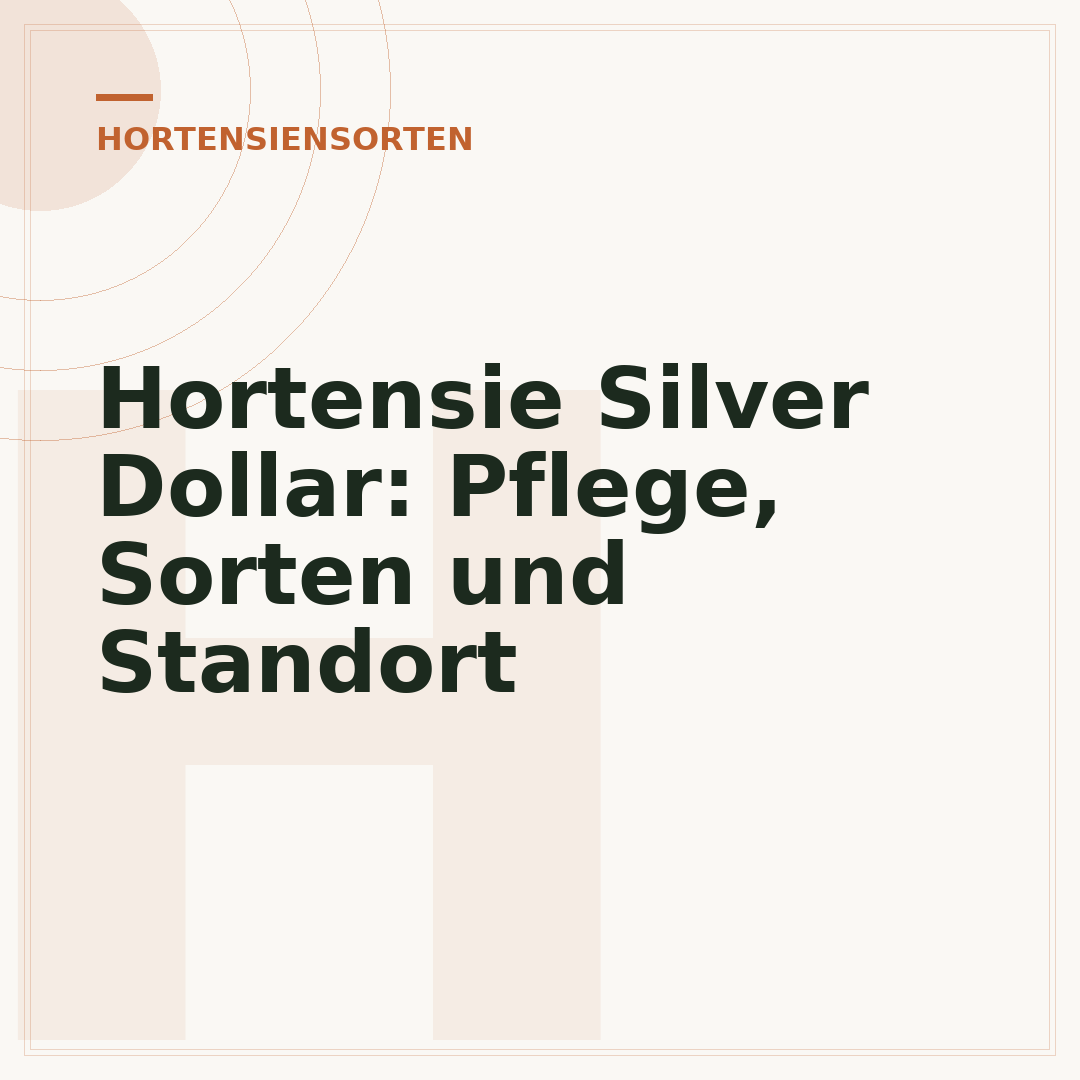 Hortensie Silver Dollar: Pflege, Sorten und Standort