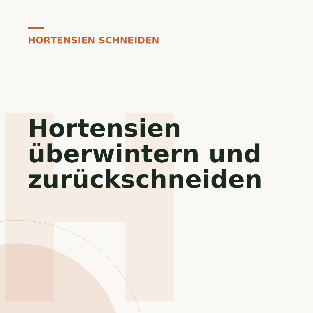 Hortensien überwintern und zurückschneiden