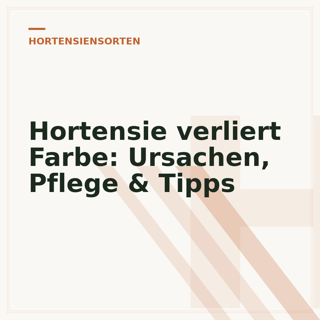 Hortensie verliert Farbe: Ursachen, Pflege & Tipps