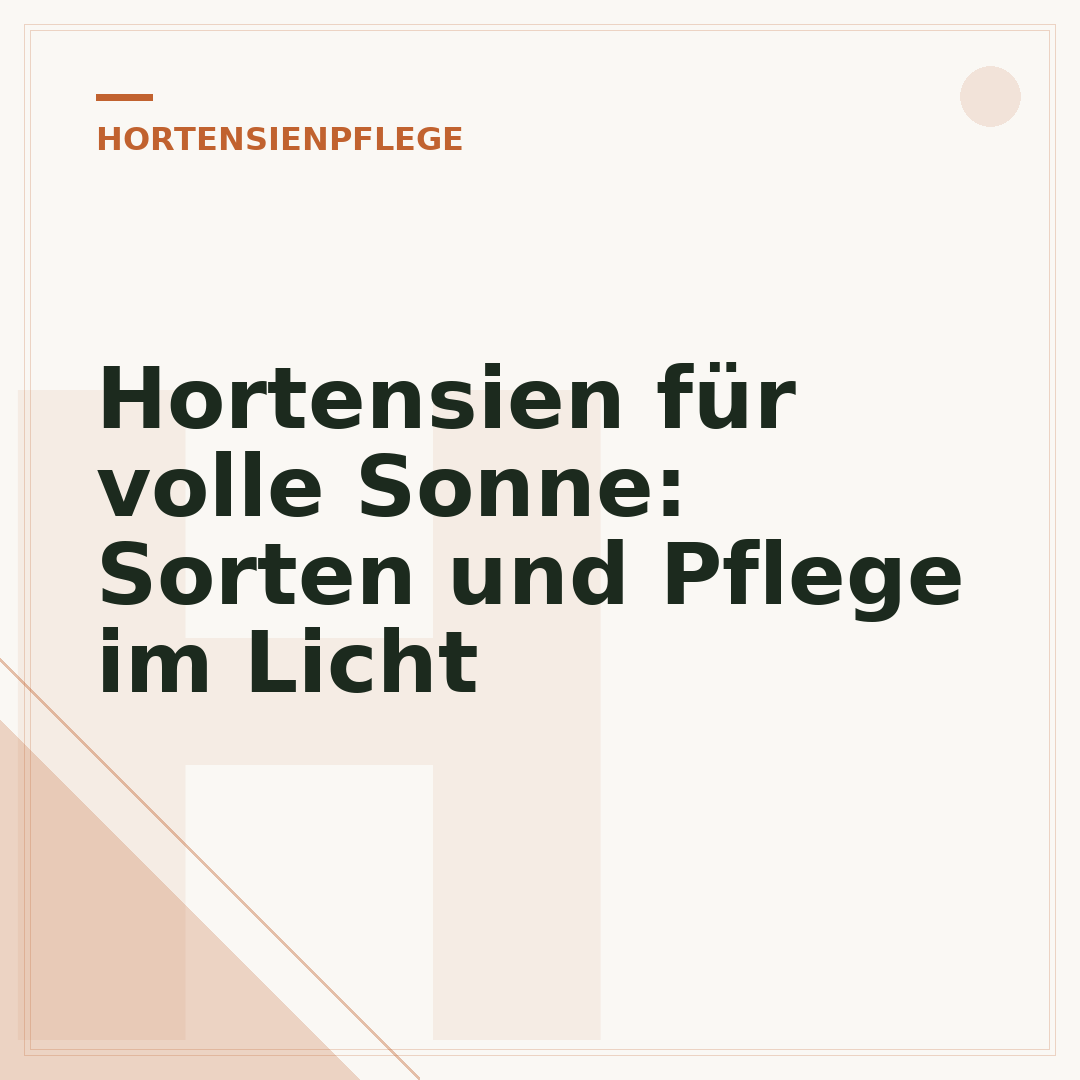 Hortensien für volle Sonne: Sorten und Pflege im Licht